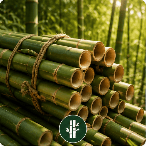 Bamboo Trading and Supplies